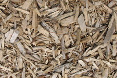 biomass boilers Mutterton
